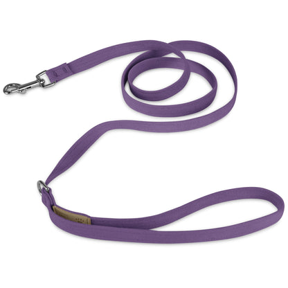 Ultraviolet Solid Leash