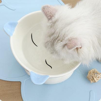 Neck Guard Food Bowl