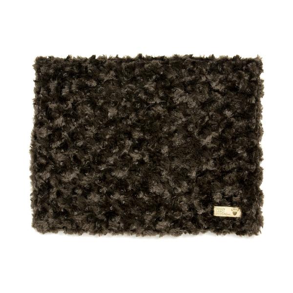 Free Blanket Gift