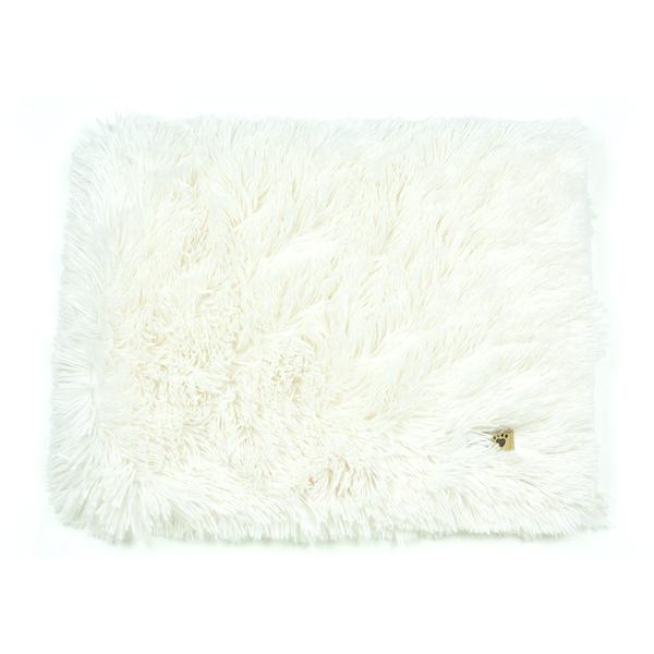Free Blanket Gift