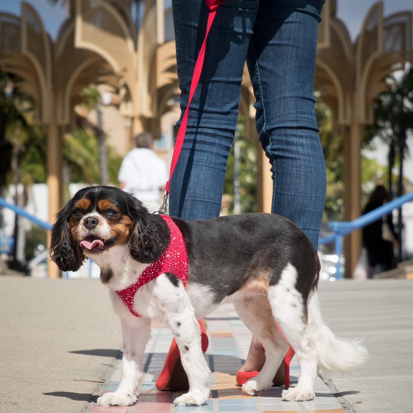 Red Solid Leash