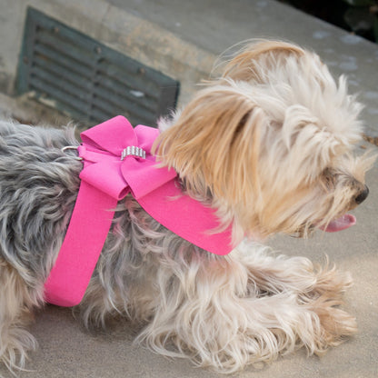 Nouveau Bow Tinkie Harness