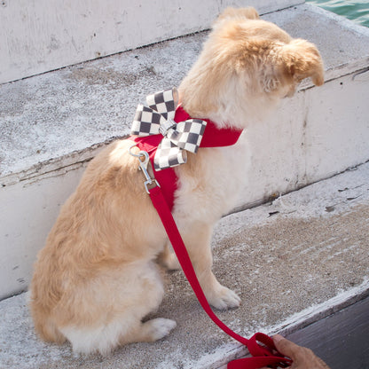 Windsor Check Nouveau Bow Tinkie Harness