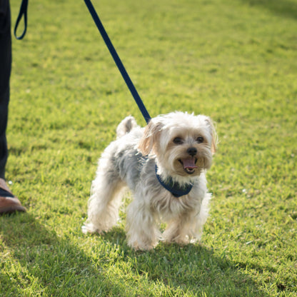 Indigo Solid Leash