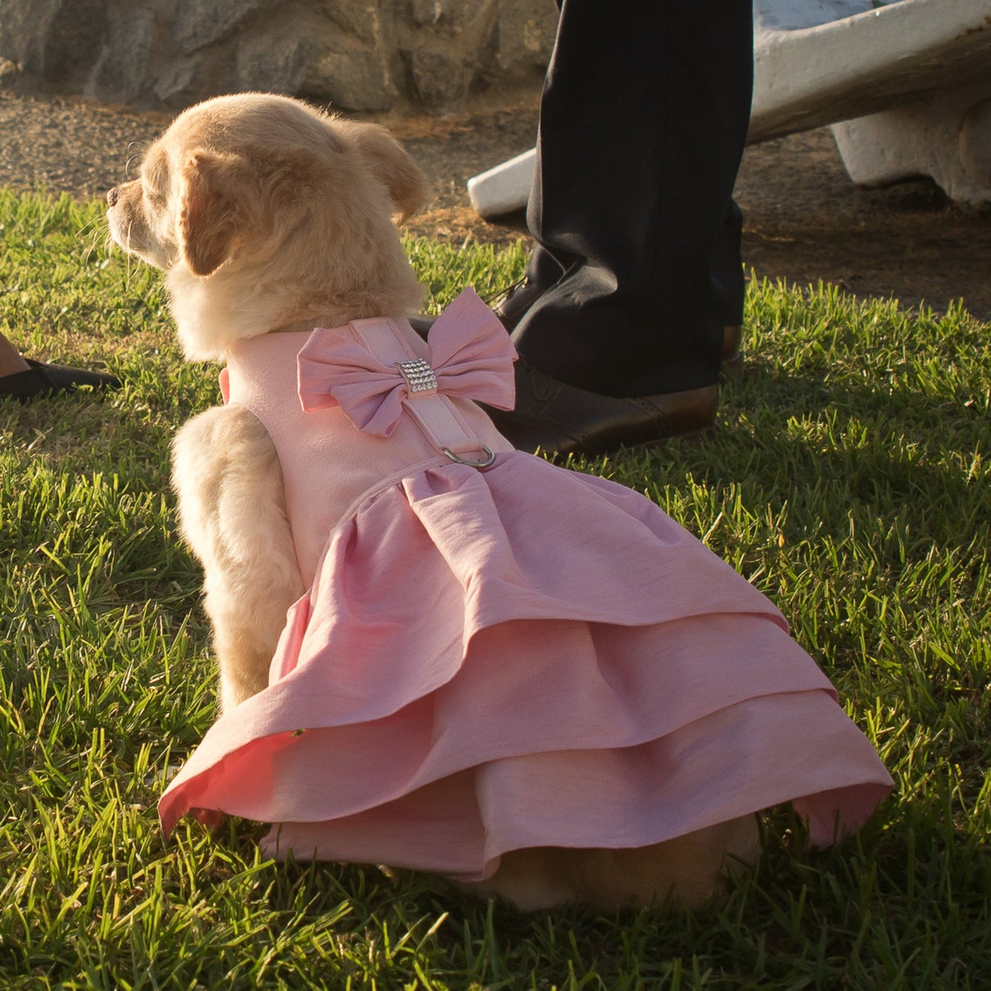 Puppy Pink Madison Dress