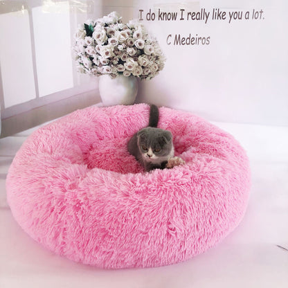 Cat Litter Kennel bed