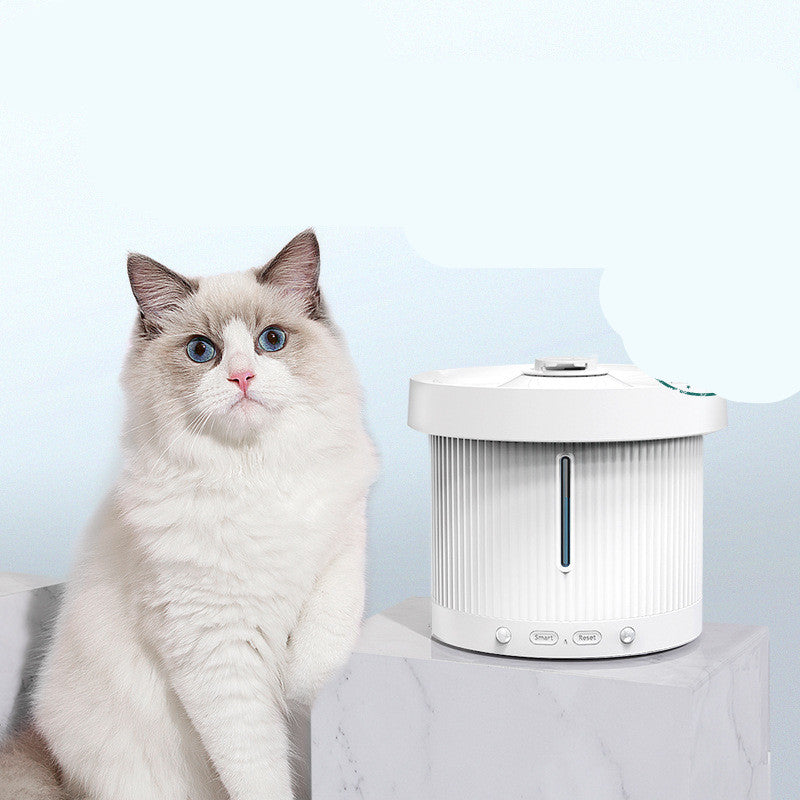 Electric Water Dispenser Pet