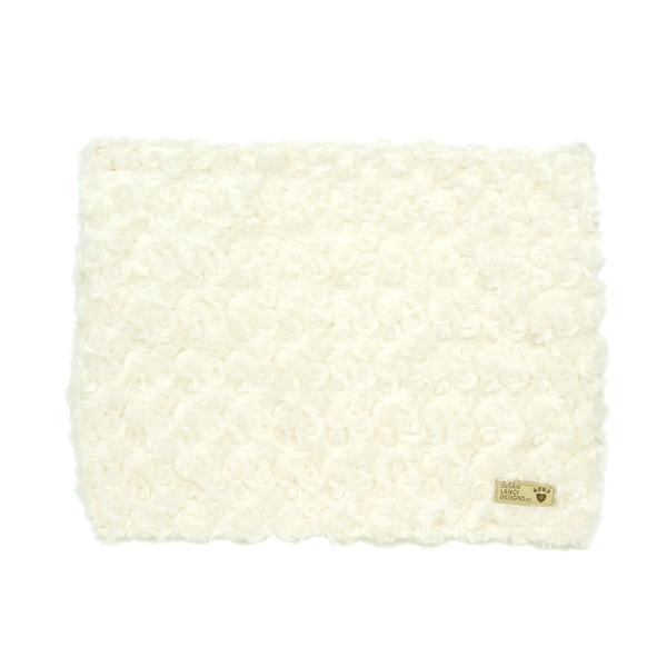 Free Blanket Gift