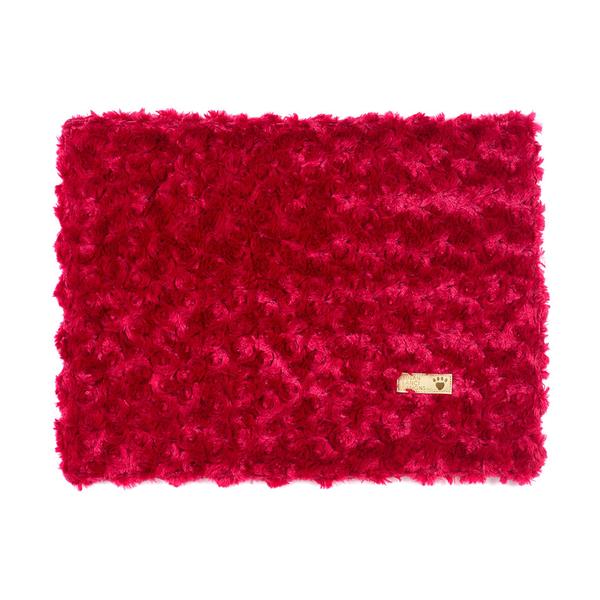 Free Blanket Gift