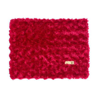 Free Blanket Gift